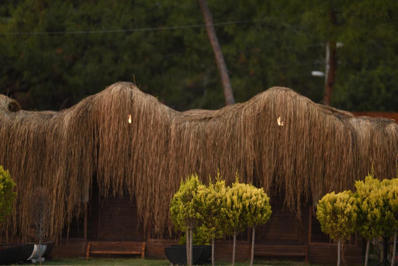 Green Pine Bungalows & Beach Luxury Concept Олудениз Екстериор снимка