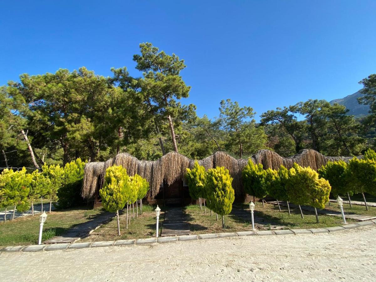 Green Pine Bungalows & Beach Luxury Concept Олудениз Екстериор снимка
