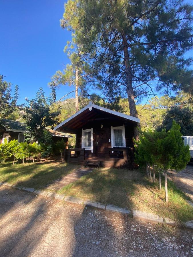 Green Pine Bungalows & Beach Luxury Concept Олудениз Екстериор снимка